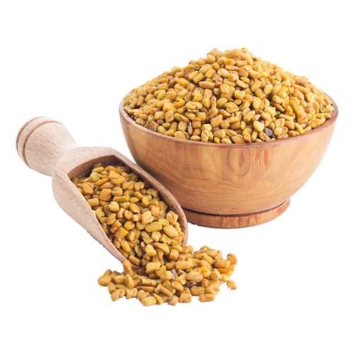 Organic Raw Fenugreek Seed Color Yellow PTL Exports Coimbatore