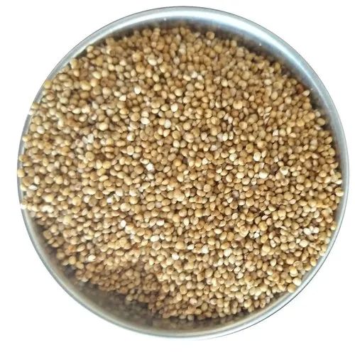 Organic Kodo Millet Seeds For Cooking Cattle Feed Packaging Type