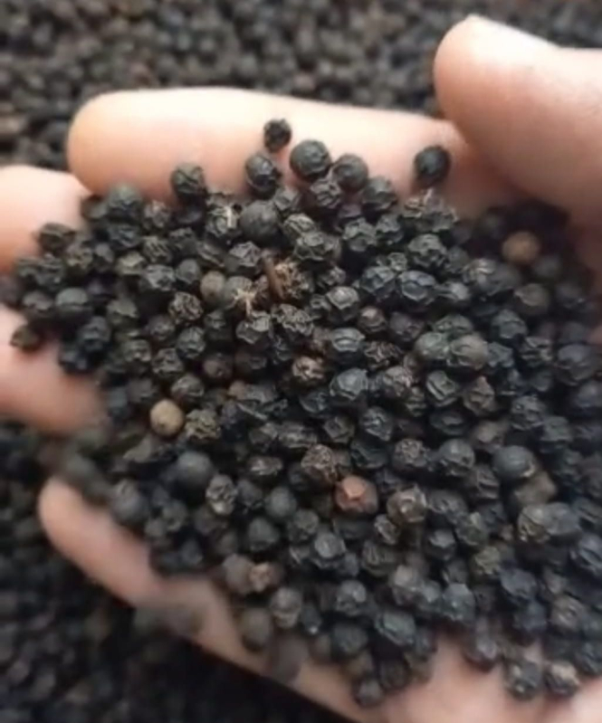 Common Black Pepper Seeds For Food Medicine Spices Packaging Type