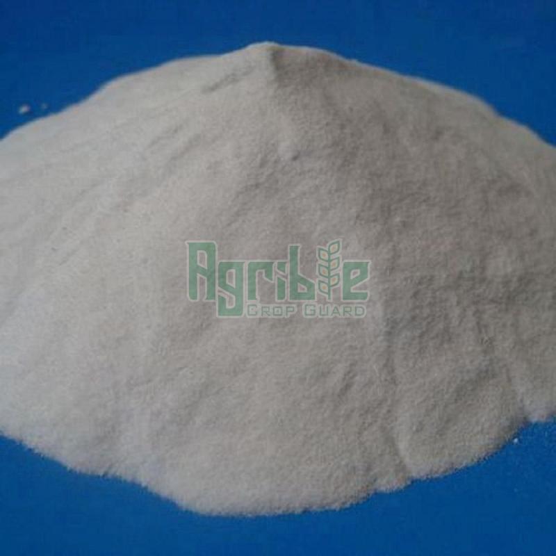 Zinc Sulphate Heptahydrate Cas No At Best Price In Vapi