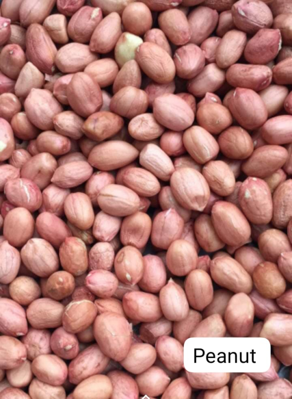 Red Natural Groundnut Seeds For Agriculture Cooking Food Style