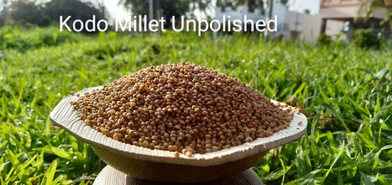 Organic Kodo Millet Buy Organic Kodo Millet For Best Price At Inr Inr