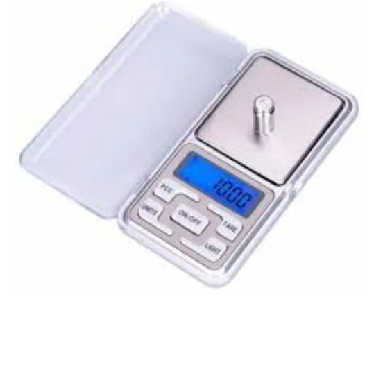 Gm Pocket Weighing Scale At Rs Piece In Delhi Precision