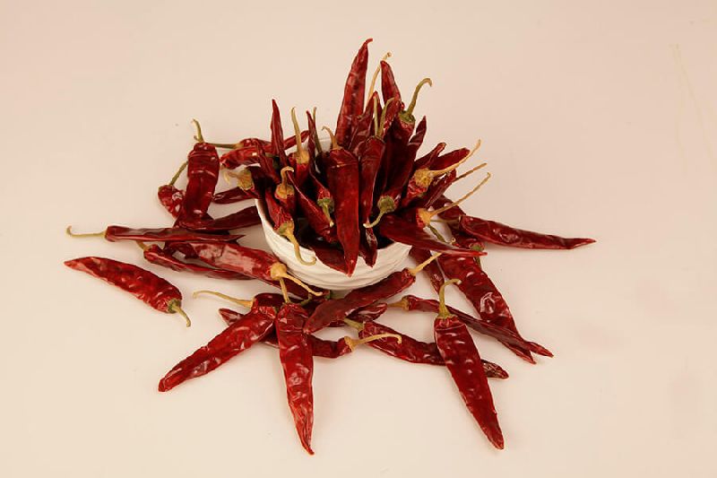 Superhot Chilli, Length : 6- 8 cms