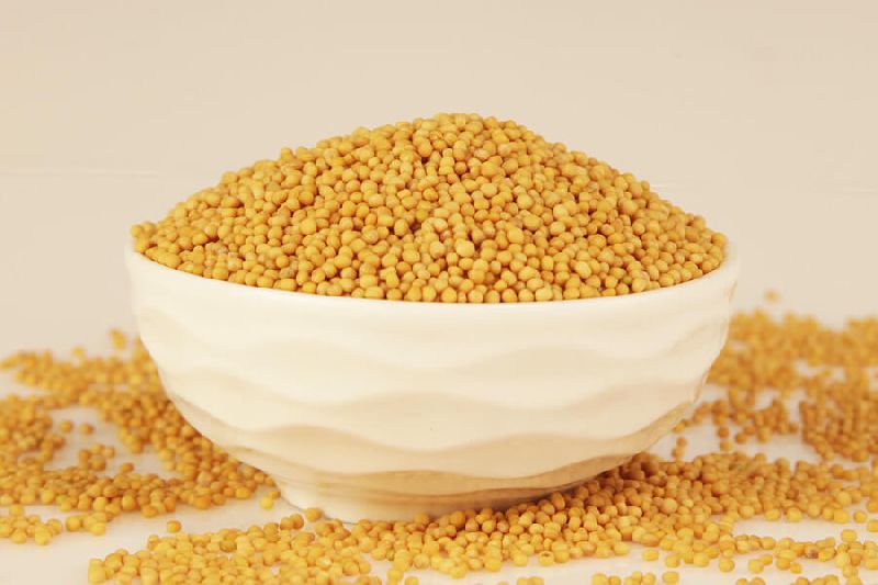 yellow mustard seeds