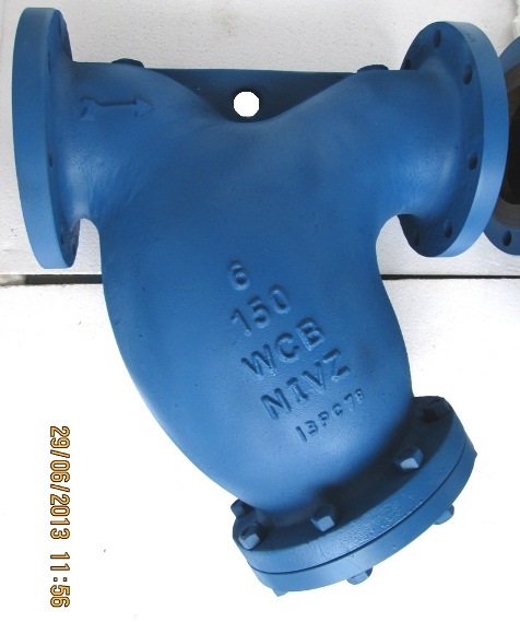 Y Type Strainer