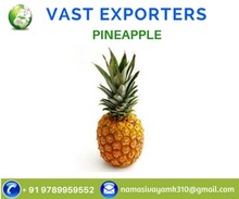 Fresh Pineapple, Certification : APEDA