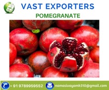 Common pomegranate, Variety : 116