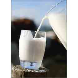 Dairy Product Lactose