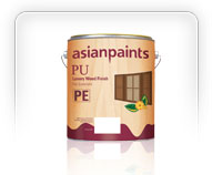 Asian Paints PU Exterior Matt