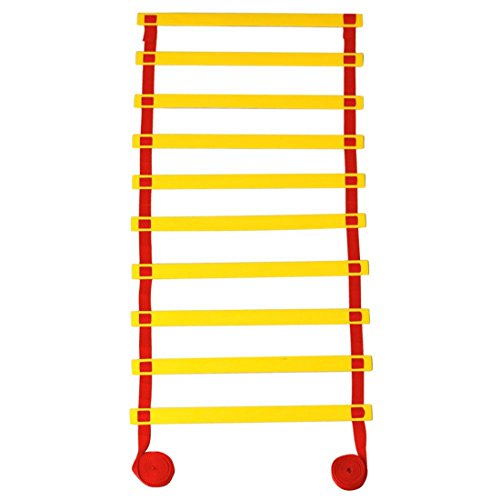 Anti Skid Ladder