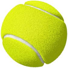 Schuyler Cricket Tennis Ball