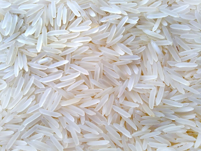 basmati rices