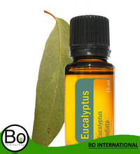 Leaves eucalyptus oil, Supply Type : OEM/ODM