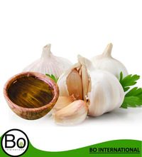 Seeds Garlic Essential Oil, Supply Type : OEM/ODM