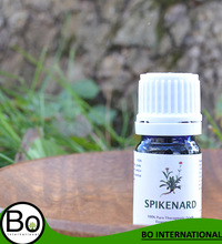 Spikenard Oil, Feature : Skin Care Moisturing