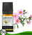 Therapeutic Grade Labdanum Essential Oil