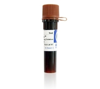 RedSafe Nucleic Acid Staining Solution