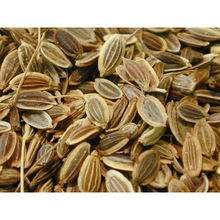 Dill Seeds, Color : natural