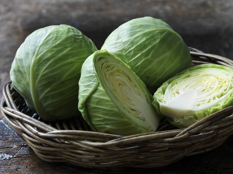 fresh cabbage