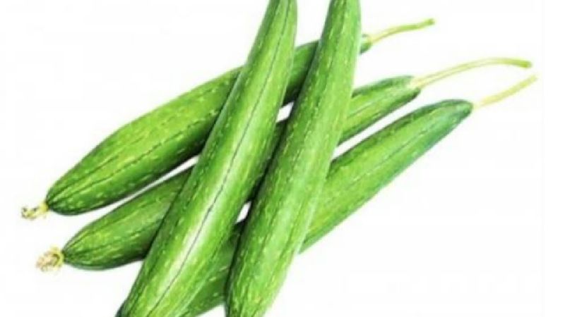 Organic Fresh Snake Gourd, for Pesticide Free, High Nutritive Value, Packaging Type : Plastic Packet