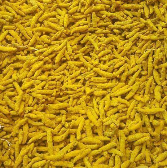 Turmeric Bits, Color : Yellow