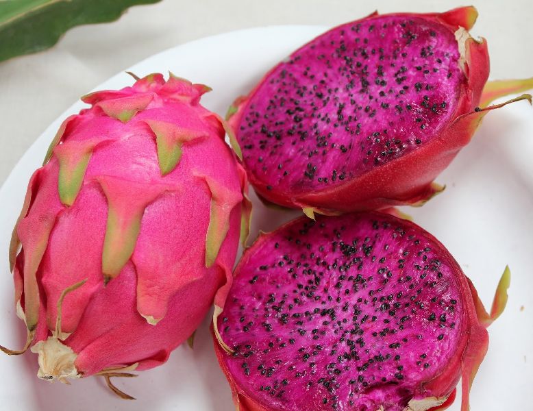 Imported Dragon Fruit