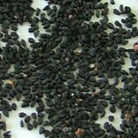 Elongated Black Cumins Seed, Style : Dried
