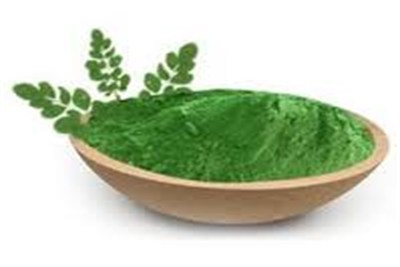 Organic Moringa Powder, for Medicines Products, Style : Dried
