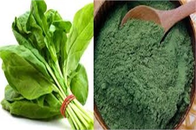 spinach powder