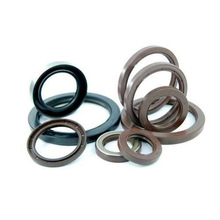 Oil Resistant TC Style Oil Seal