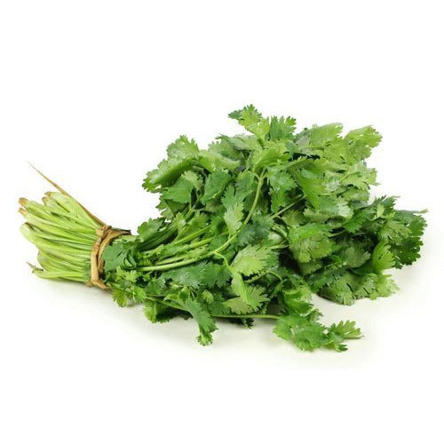 Coriander Leaves Dry