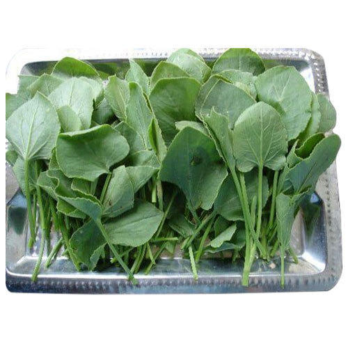 Spinach Leaves dry