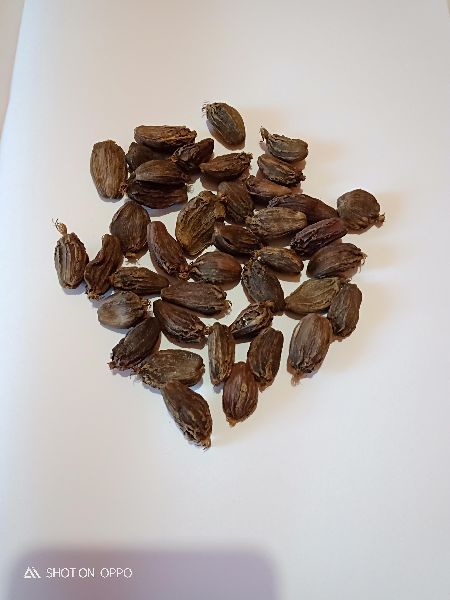 Dried Black Cardamom