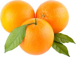Fresh Orange, for Jam, Juice