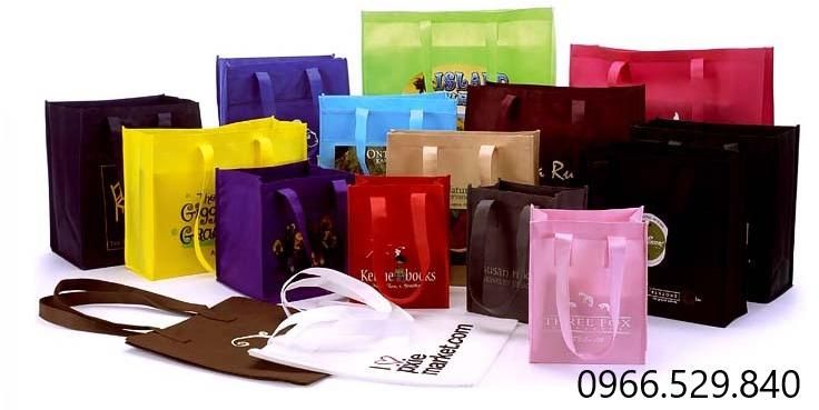 Non Woven Promotional Bag