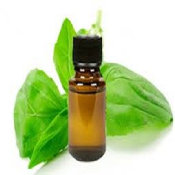 Basil Oil at Best Price in Delhi KANYA FANCY GARMENTS