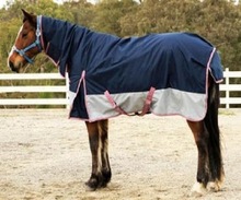 Equestrian horse rugs