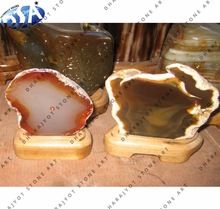 Mexican Petrified Wood Stone