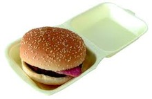 FOAM BURGER BOX WITH HINGED LID