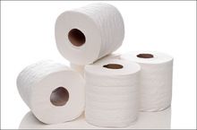 Toilet Tissue Rolls