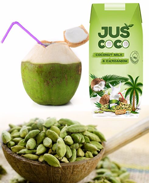 Cardamom flavor Coconut Milk