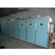 Chicken Incubator, Voltage : Based On Machine