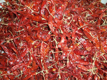 Southern Spices Red Chilli Sauce, Style : Dried