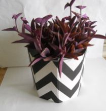 Recycled cotton paper planter, for Decoration, Size : 25x23 cm