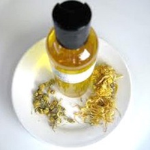 chamomile blue essential oil