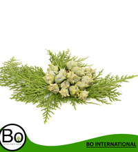 Cypress Essential Oil, Purity : 100%pure