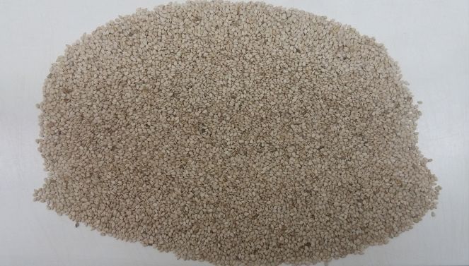 SH1 Conventional Sesame Seeds