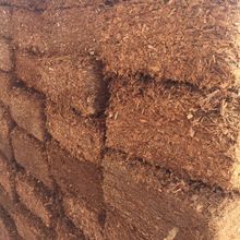 Coco Peat For Tomato Transplantation