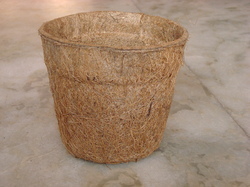 Plant Fiber Coco Nursery Pot